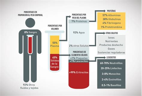 Cuantos Litros De Sangre Tenemos En El Cuerpo