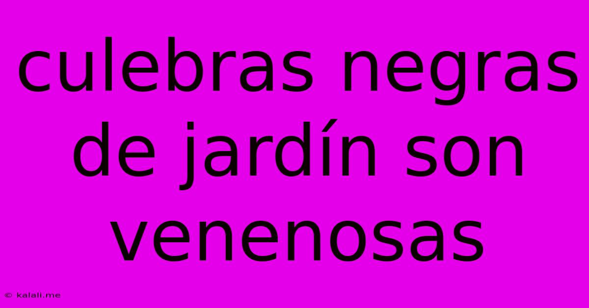 Culebras Negras De Jardín Son Venenosas