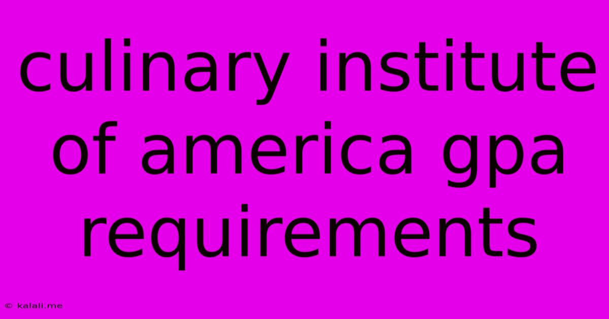 Culinary Institute Of America Gpa Requirements