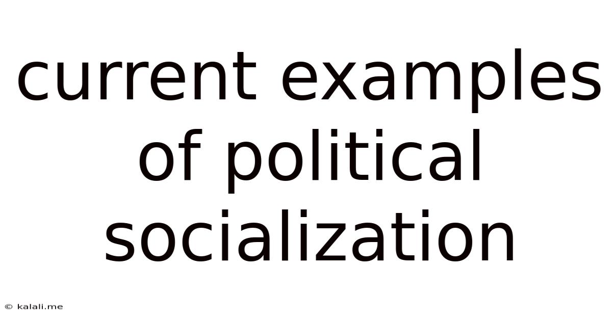Current Examples Of Political Socialization