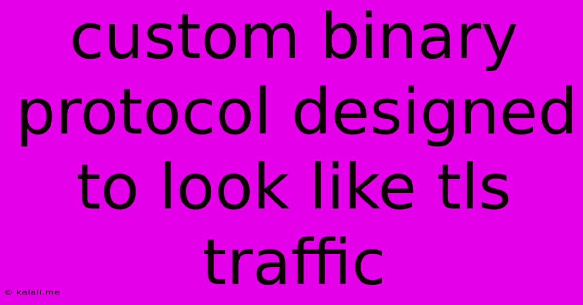 Custom Binary Protocol Designed To Look Like Tls Traffic