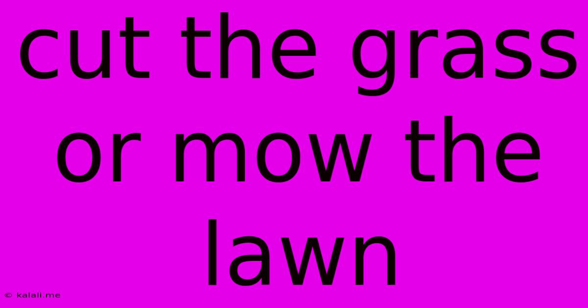 Cut The Grass Or Mow The Lawn