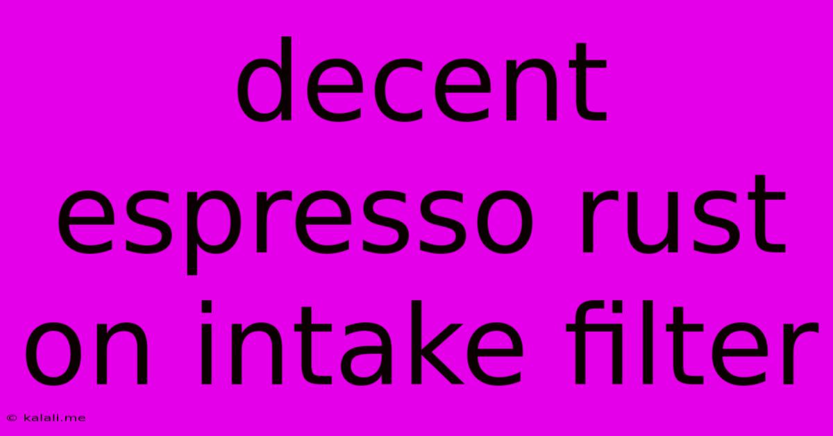 Decent Espresso Rust On Intake Filter
