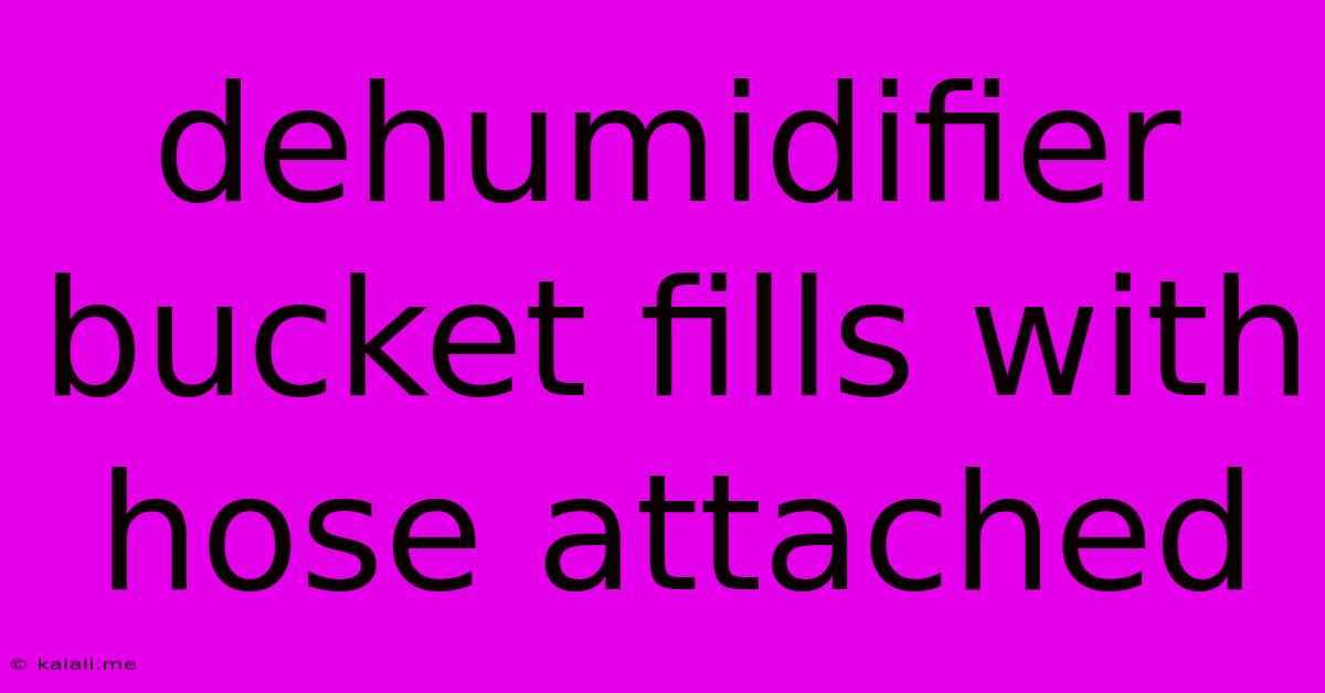 Dehumidifier Bucket Fills With Hose Attached