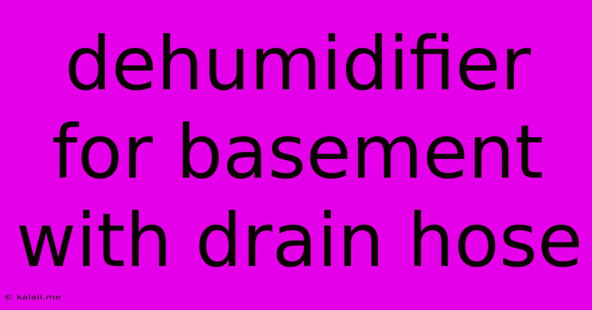 Dehumidifier For Basement With Drain Hose