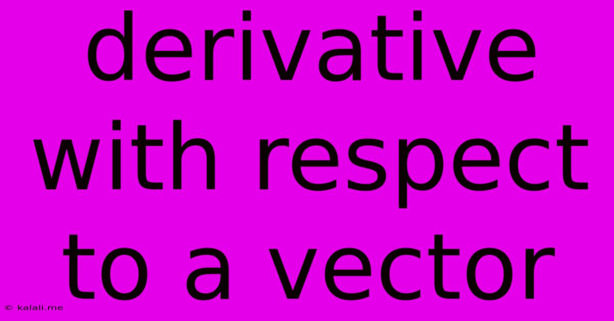 Derivative With Respect To A Vector