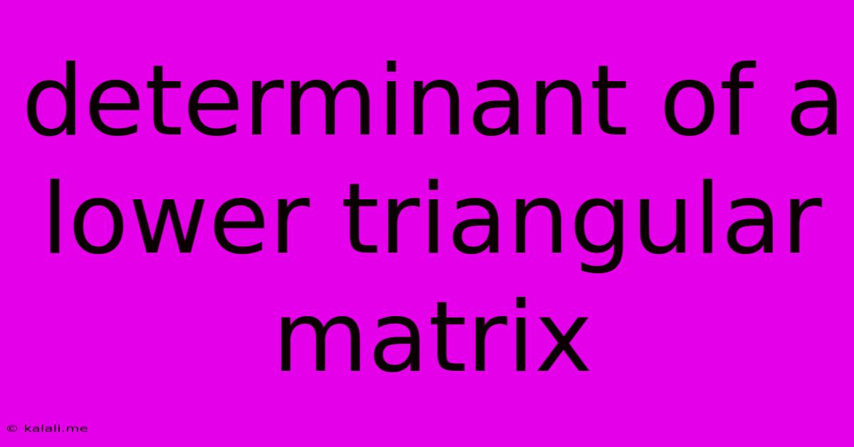 Determinant Of A Lower Triangular Matrix