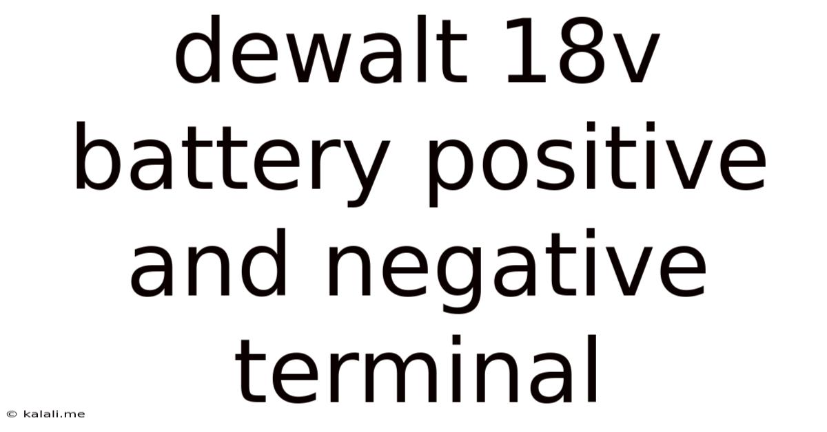 Dewalt 18v Battery Positive And Negative Terminal