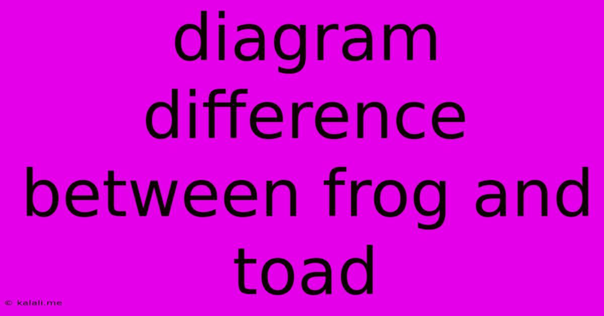 Diagram Difference Between Frog And Toad