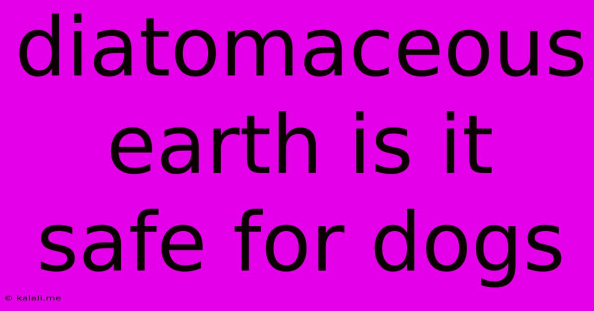 Diatomaceous Earth Is It Safe For Dogs