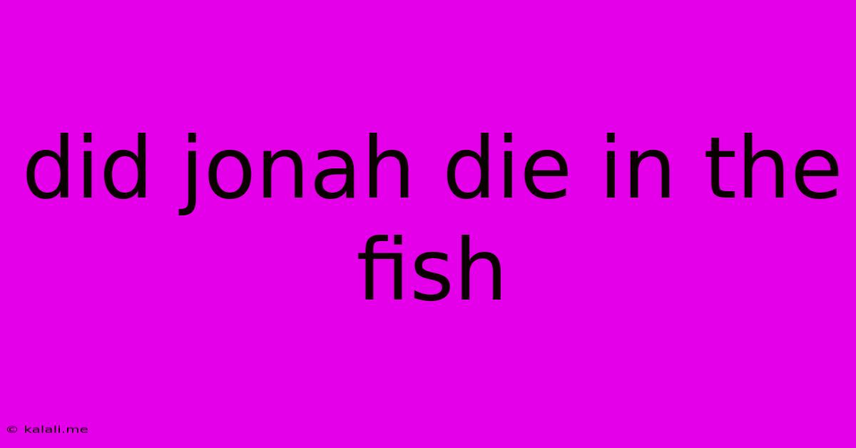 Did Jonah Die In The Fish
