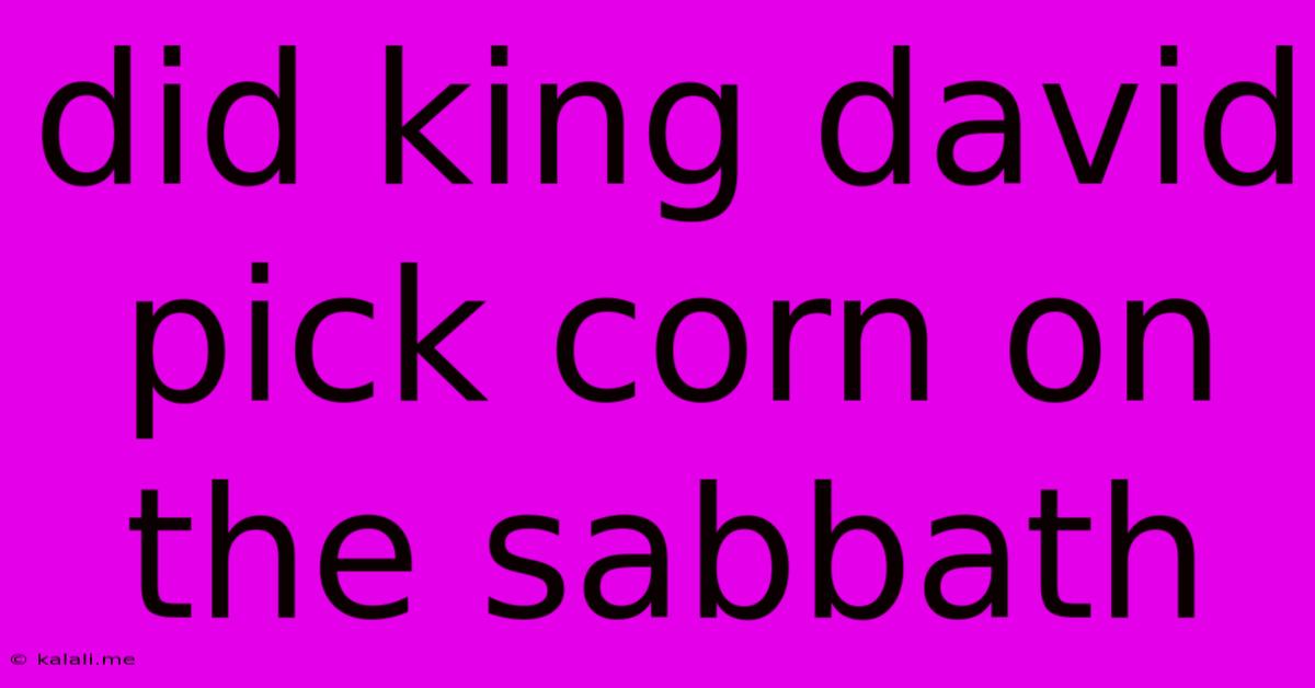 Did King David Pick Corn On The Sabbath