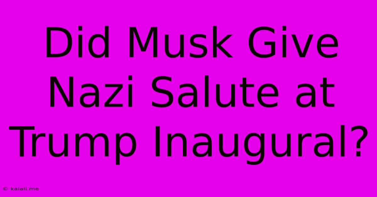 Did Musk Give Nazi Salute At Trump Inaugural?