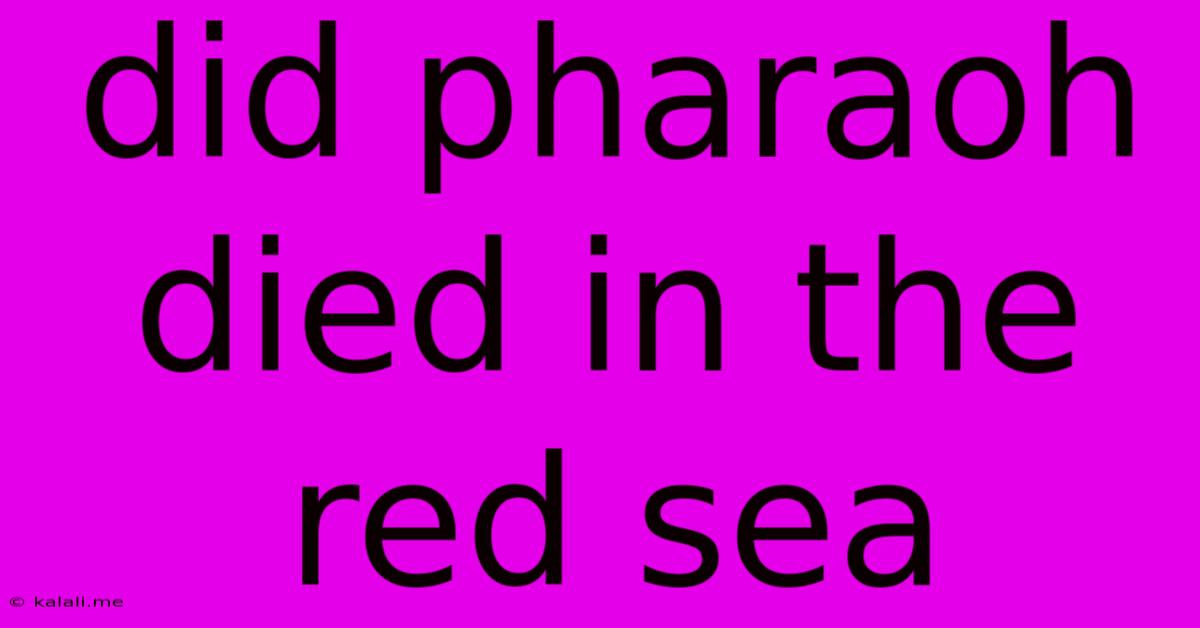 Did Pharaoh Died In The Red Sea