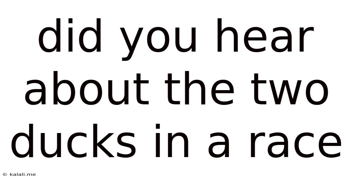 Did You Hear About The Two Ducks In A Race