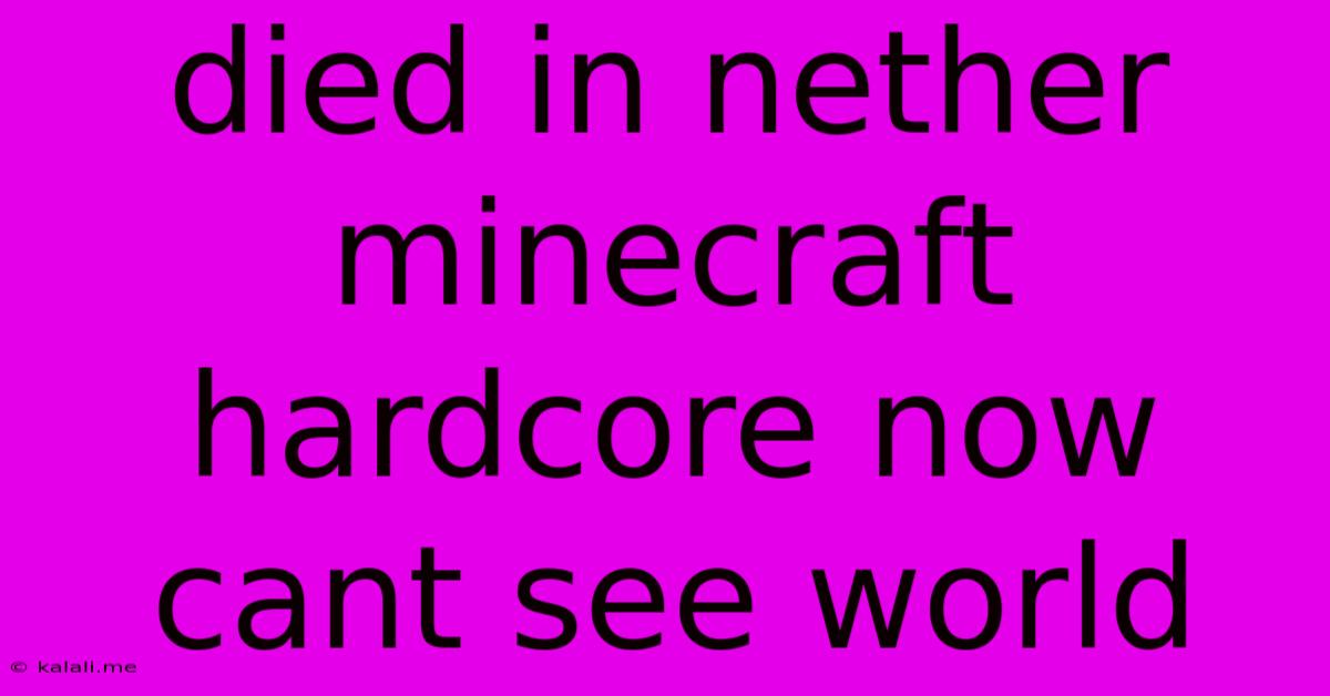 Died In Nether Minecraft Hardcore Now Cant See World