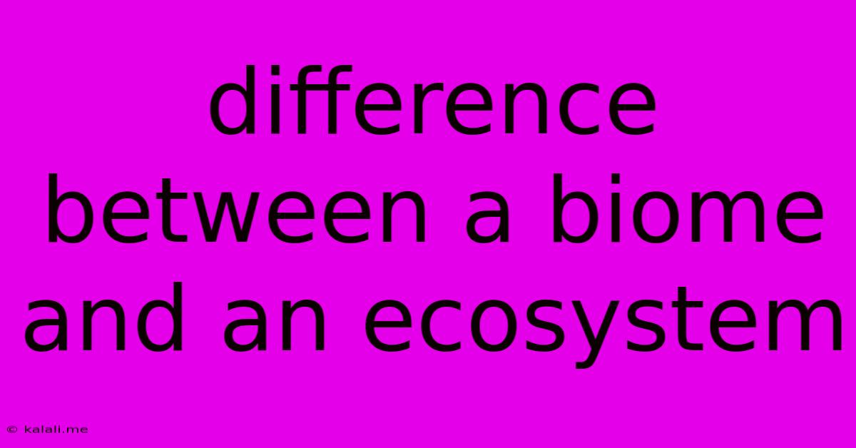 Difference Between A Biome And An Ecosystem