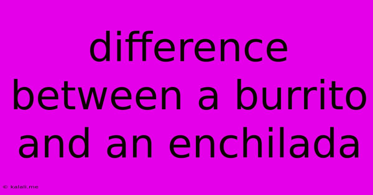 Difference Between A Burrito And An Enchilada