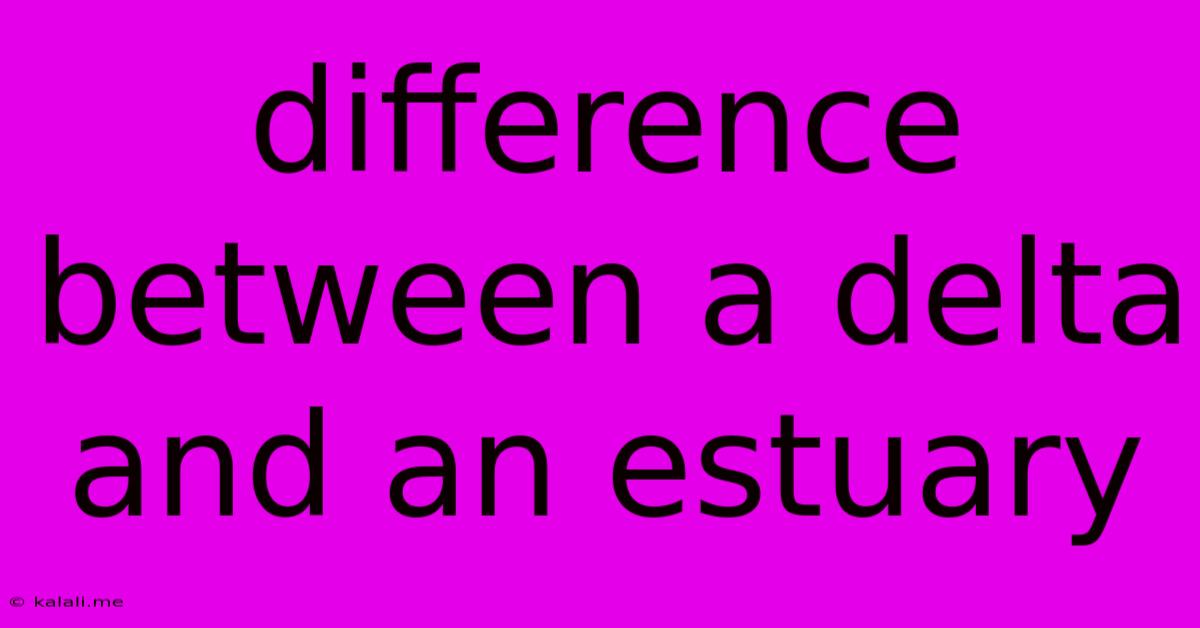 Difference Between A Delta And An Estuary