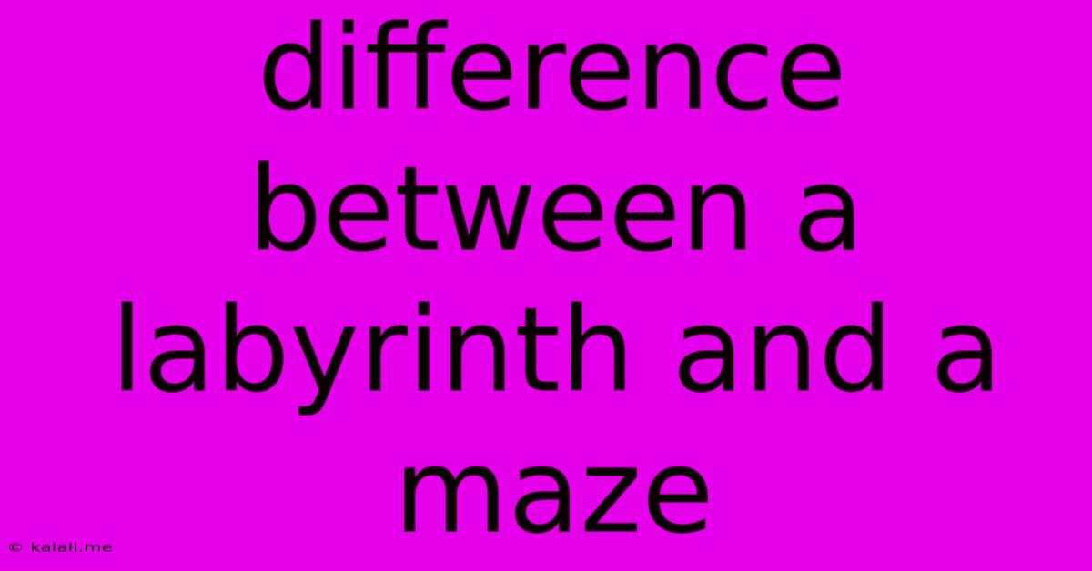 Difference Between A Labyrinth And A Maze