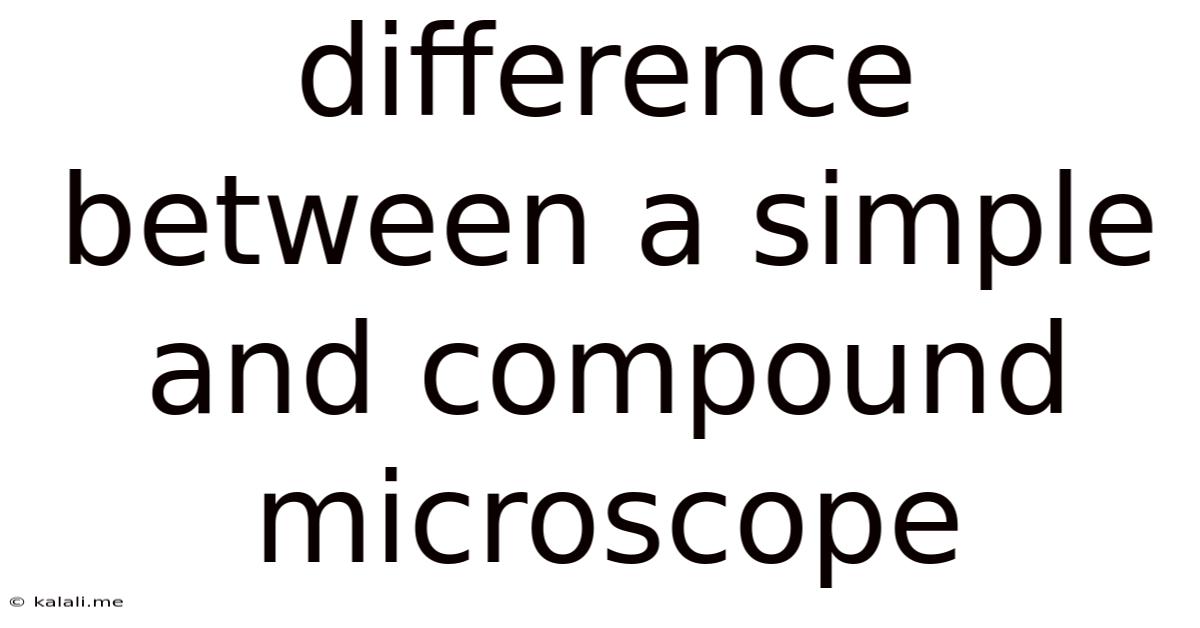 Difference Between A Simple And Compound Microscope
