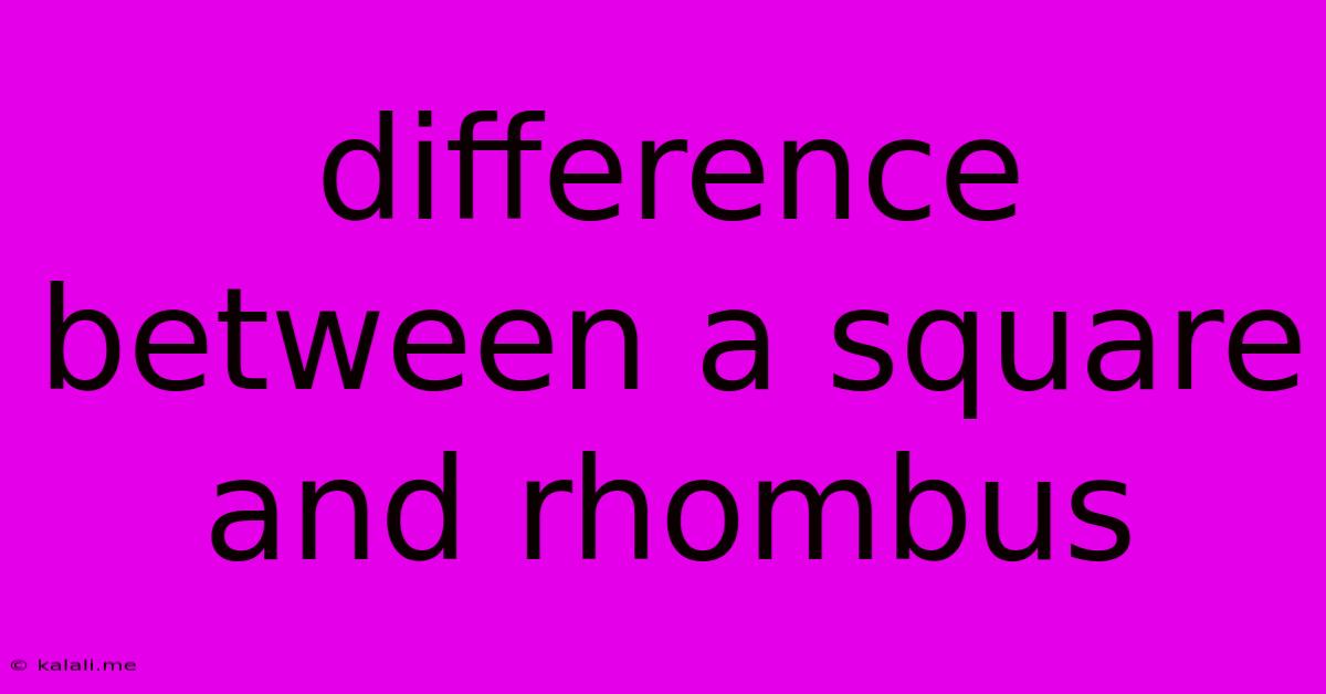 Difference Between A Square And Rhombus