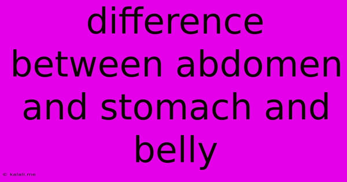 Difference Between Abdomen And Stomach And Belly
