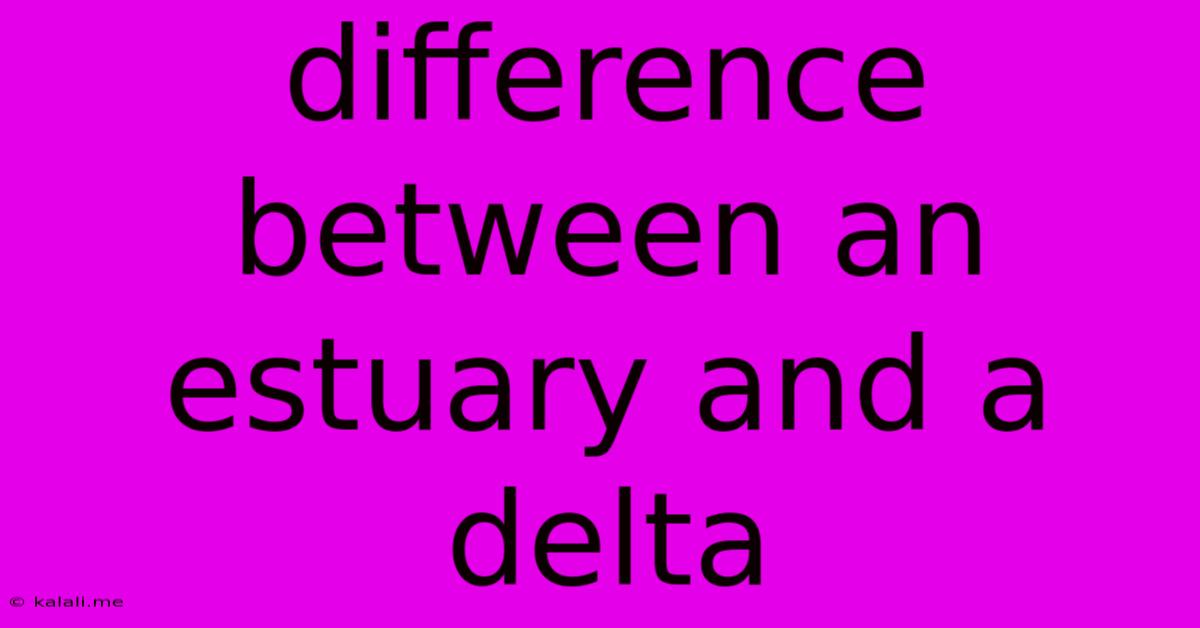 Difference Between An Estuary And A Delta