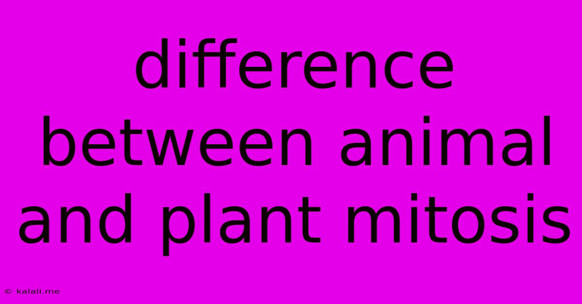 Difference Between Animal And Plant Mitosis