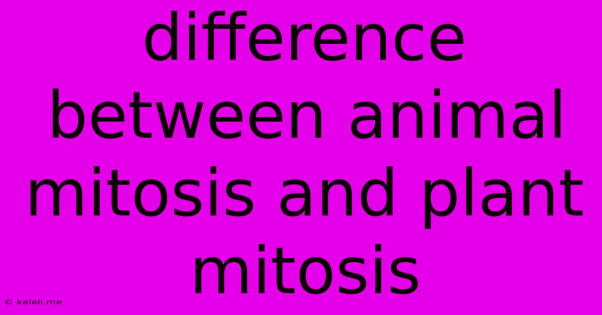 Difference Between Animal Mitosis And Plant Mitosis