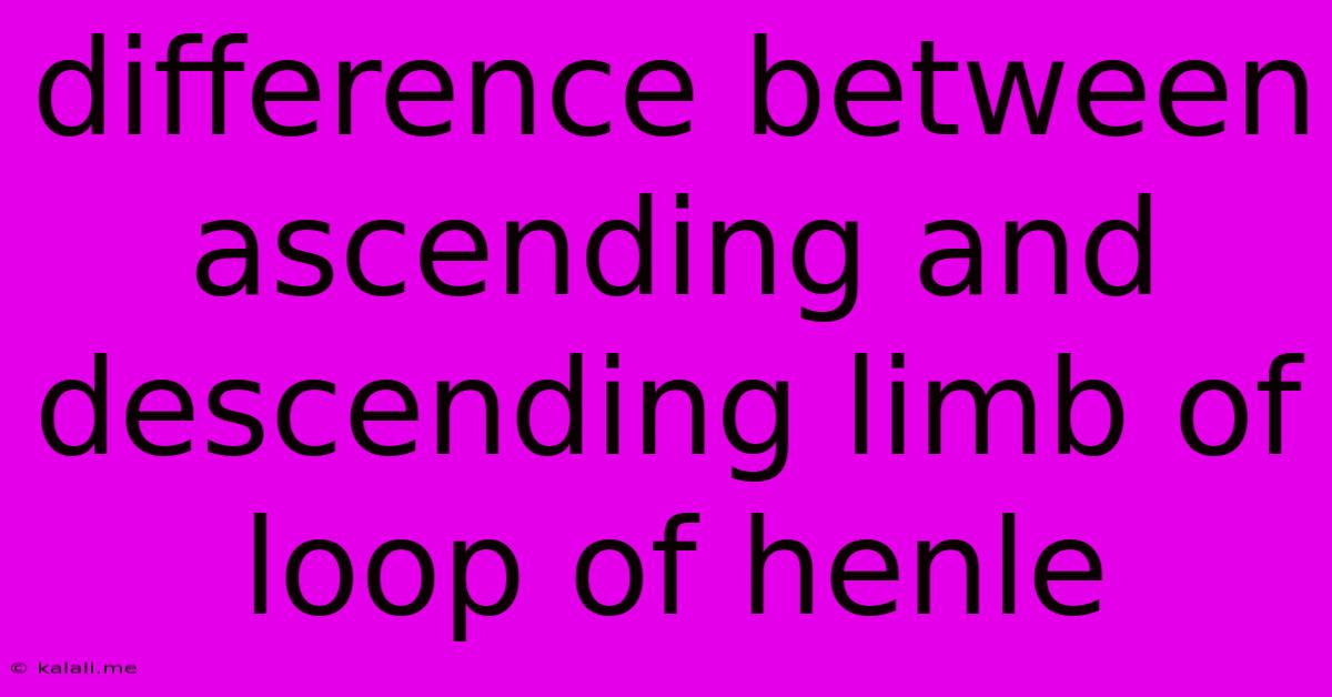 Difference Between Ascending And Descending Limb Of Loop Of Henle