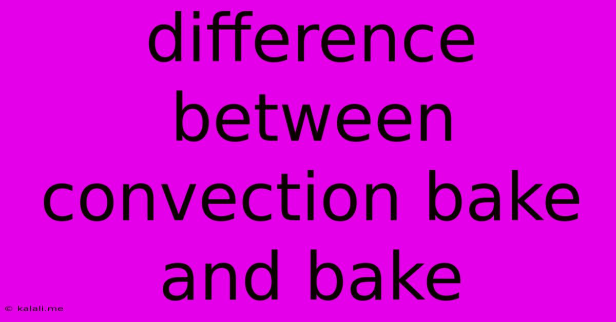 Difference Between Convection Bake And Bake