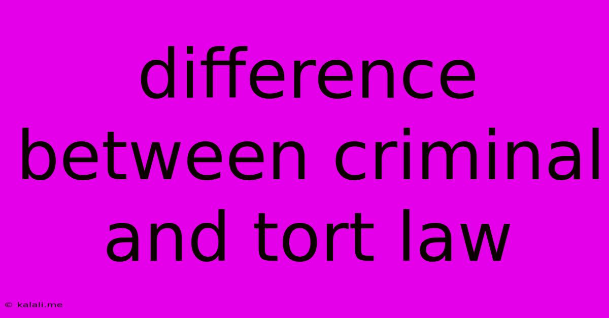 Difference Between Criminal And Tort Law