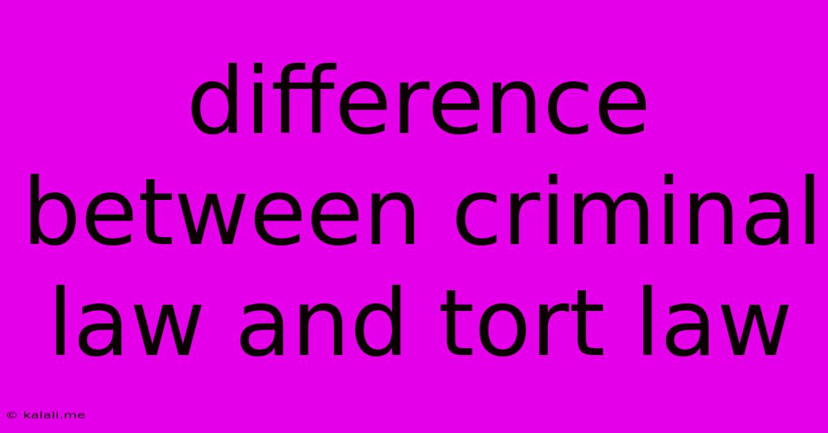 Difference Between Criminal Law And Tort Law