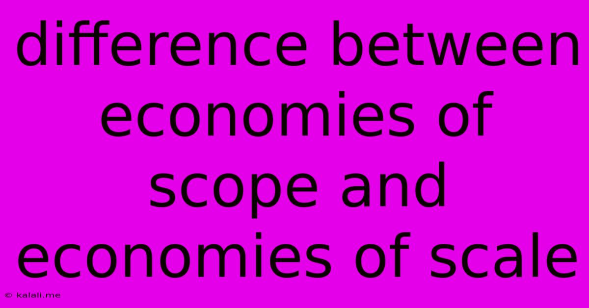 Difference Between Economies Of Scope And Economies Of Scale