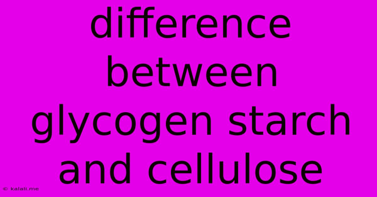 Difference Between Glycogen Starch And Cellulose