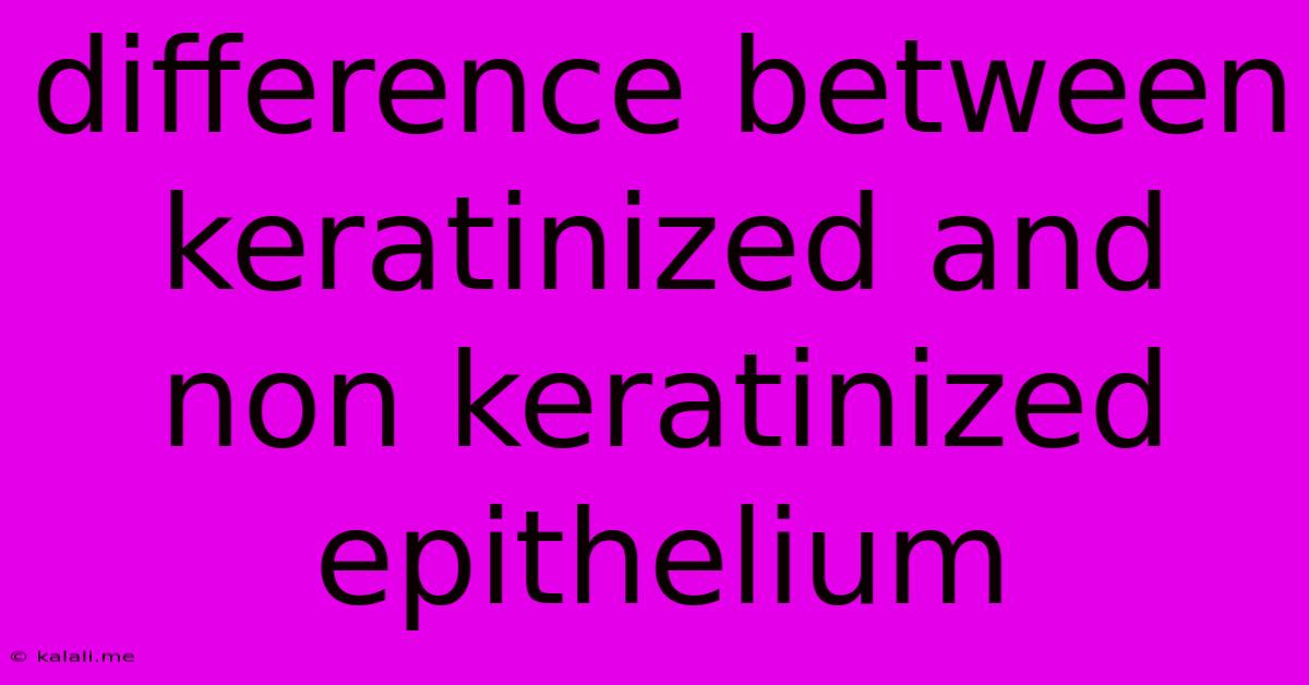Difference Between Keratinized And Non Keratinized Epithelium