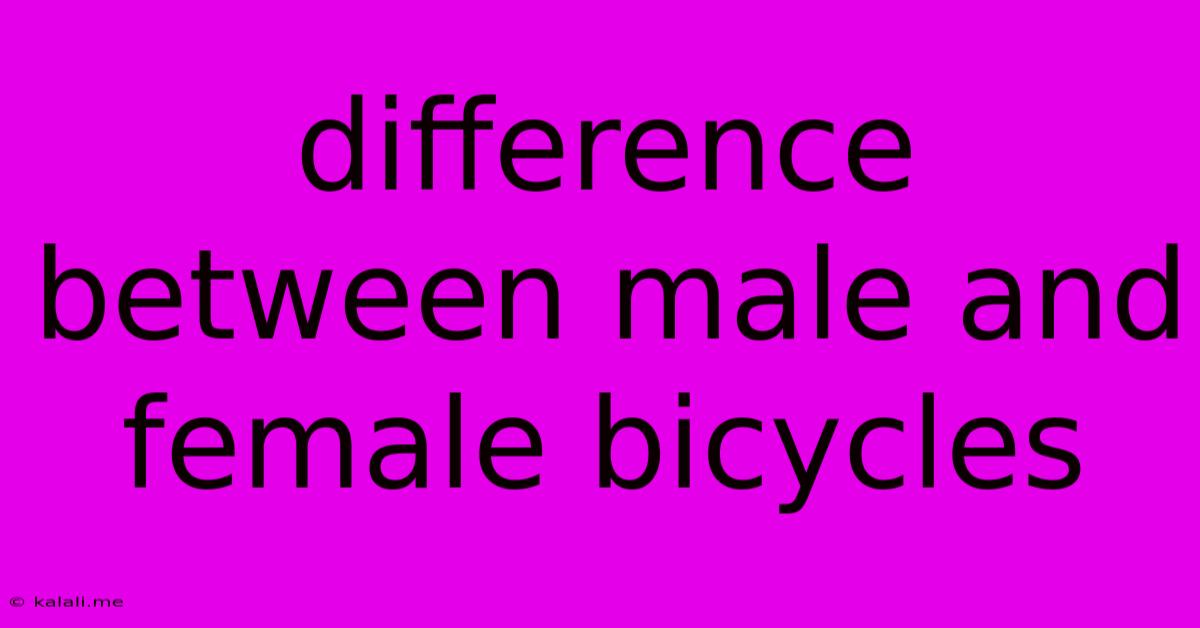 Difference Between Male And Female Bicycles