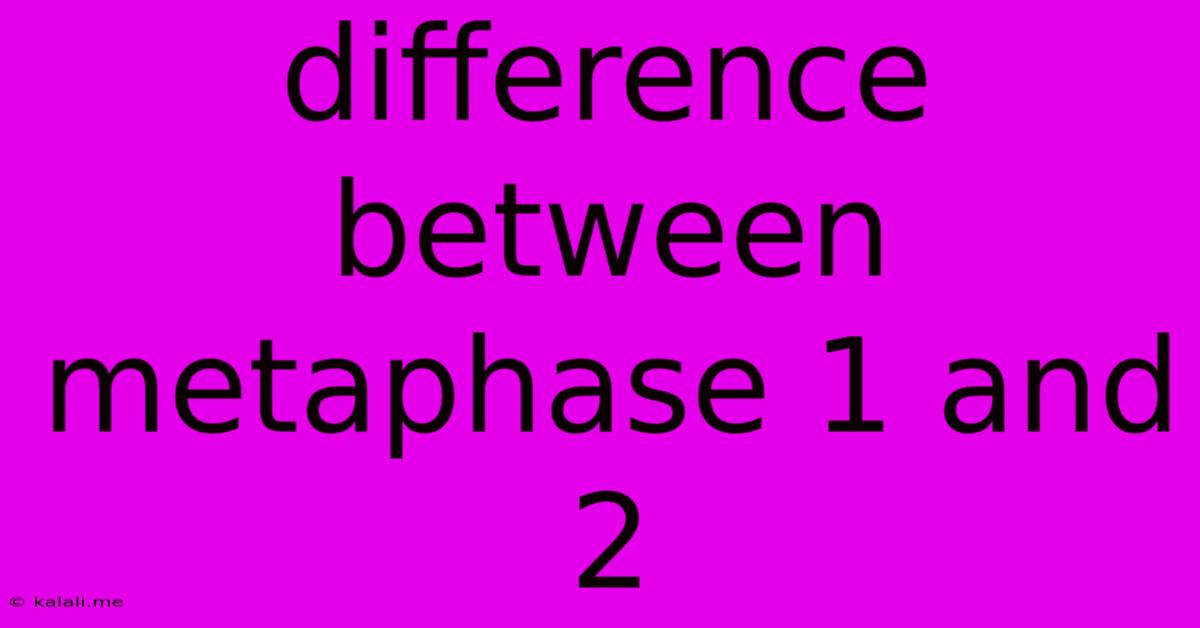 Difference Between Metaphase 1 And 2