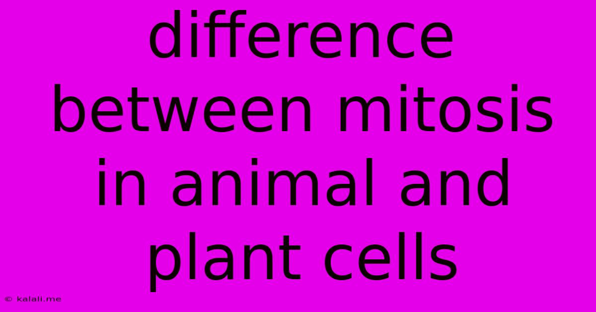 Difference Between Mitosis In Animal And Plant Cells