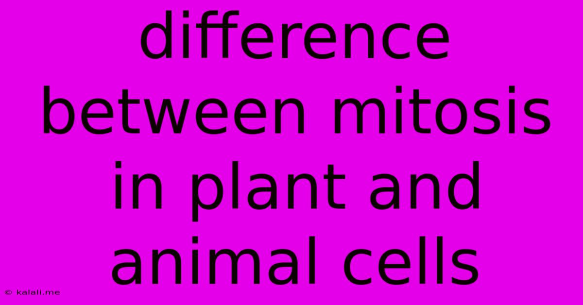 Difference Between Mitosis In Plant And Animal Cells