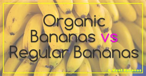 Difference Between Organic Bananas Regular Bananas