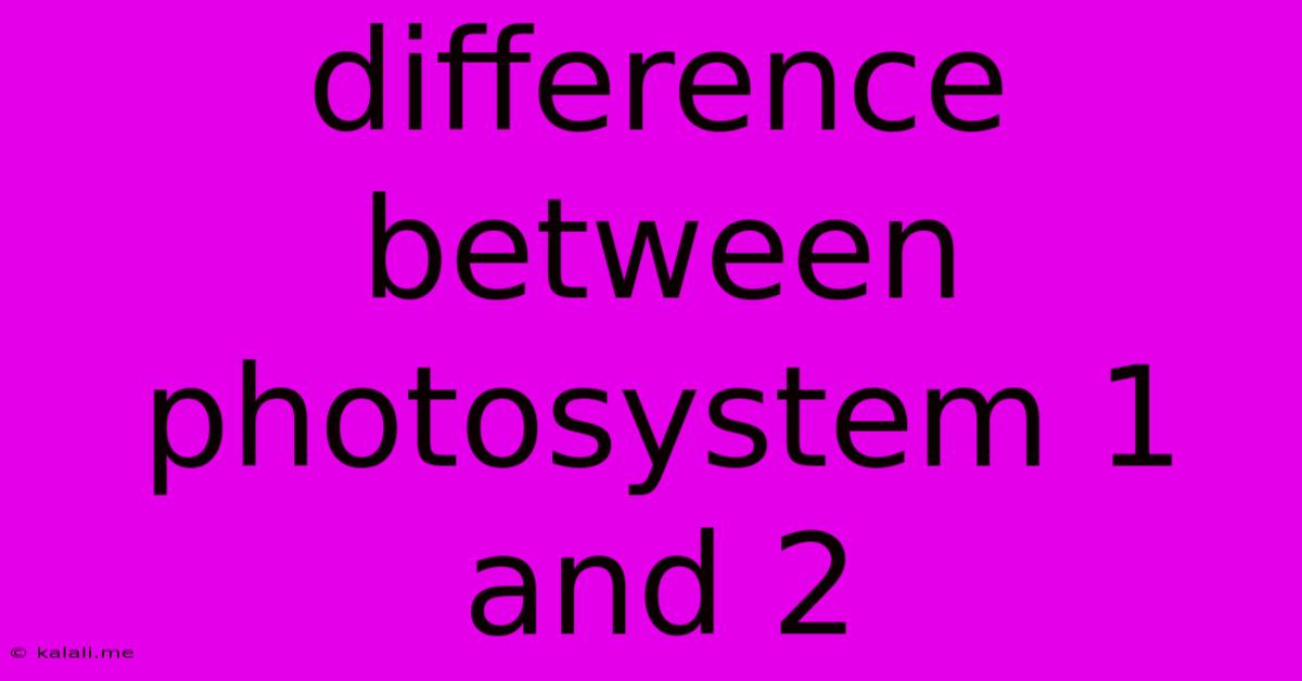 Difference Between Photosystem 1 And 2