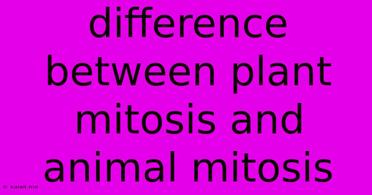 Difference Between Plant Mitosis And Animal Mitosis