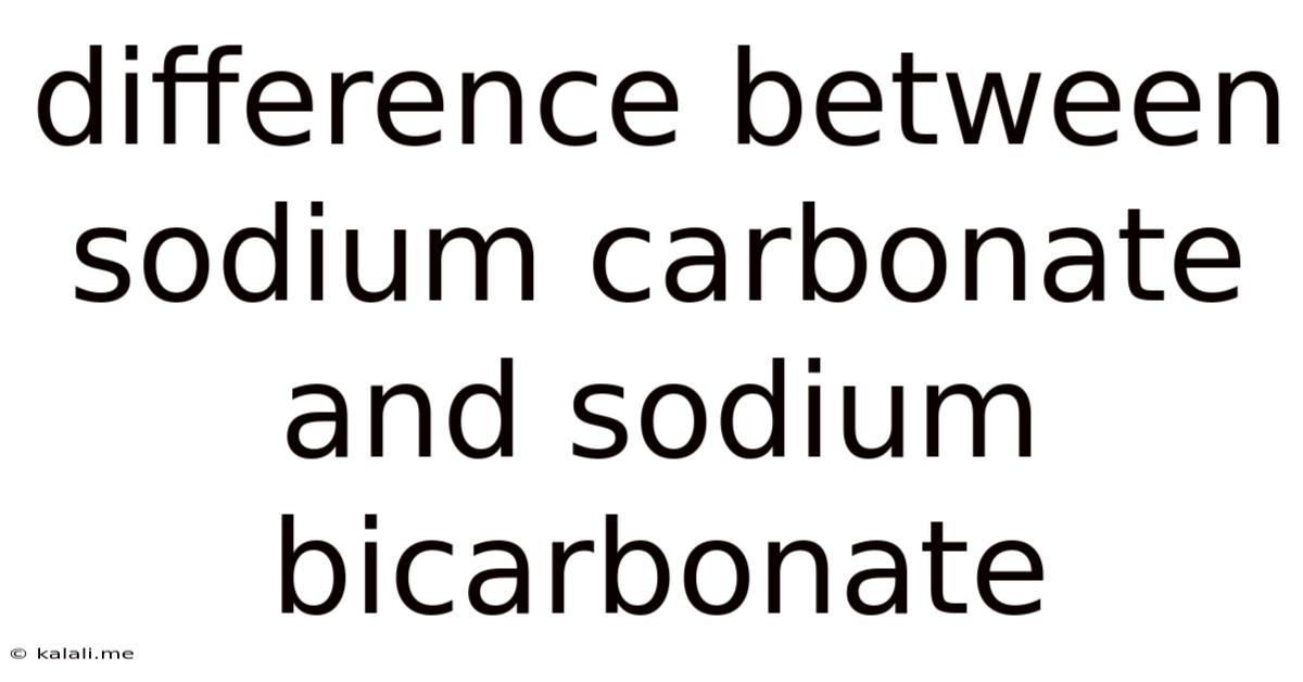 Difference Between Sodium Carbonate And Sodium Bicarbonate