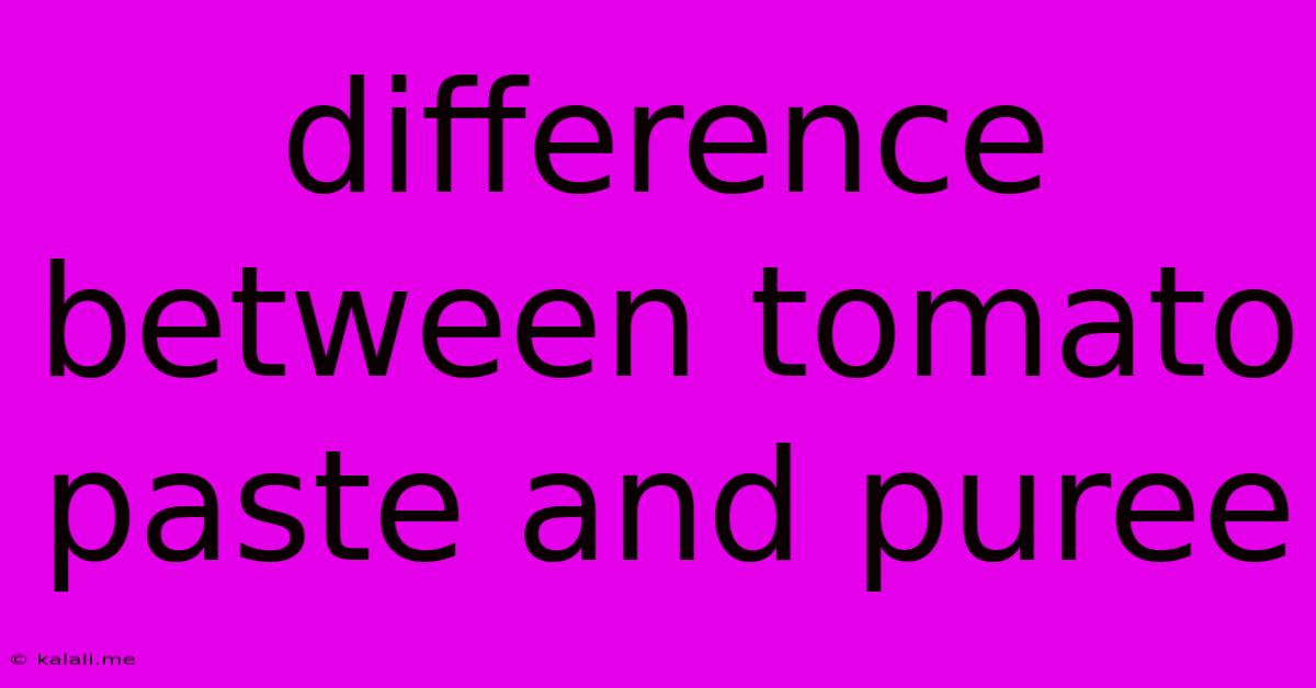 Difference Between Tomato Paste And Puree