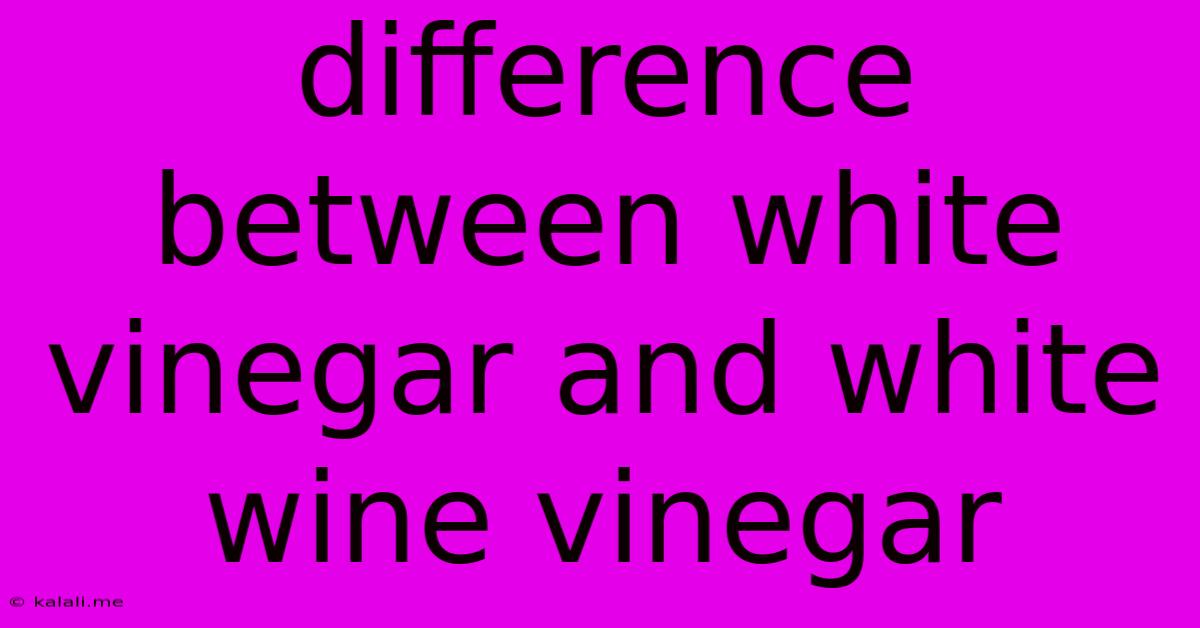 Difference Between White Vinegar And White Wine Vinegar