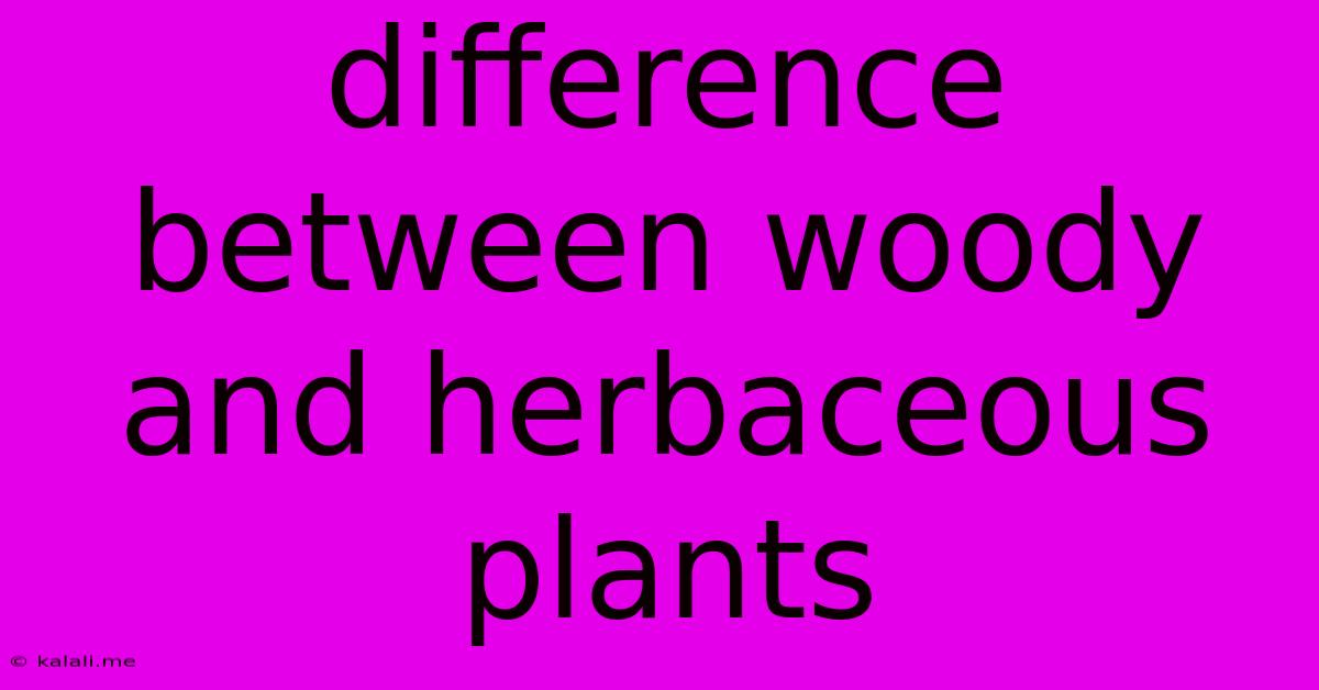 Difference Between Woody And Herbaceous Plants