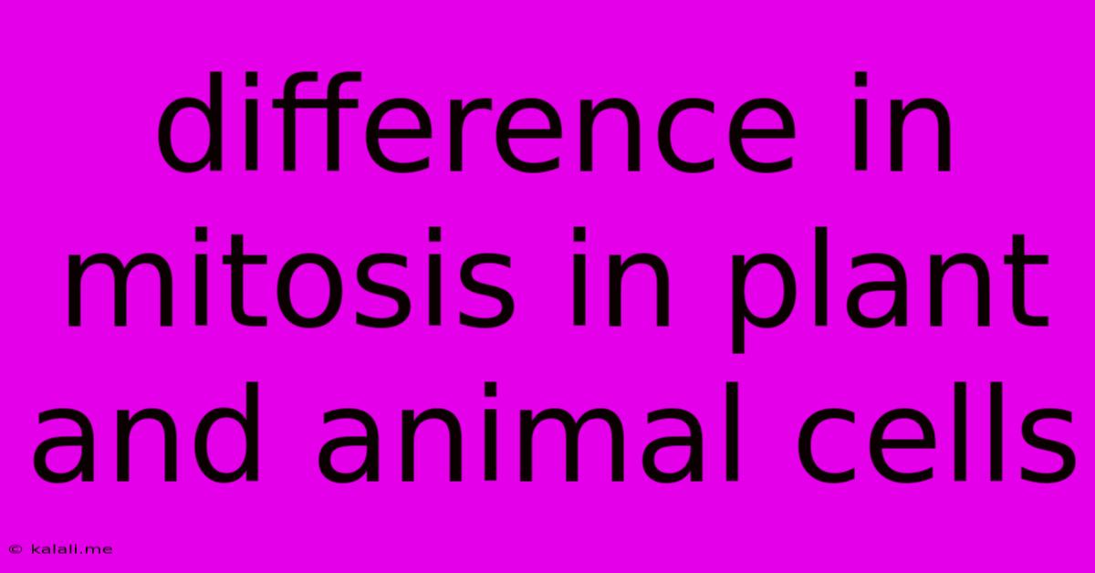 Difference In Mitosis In Plant And Animal Cells