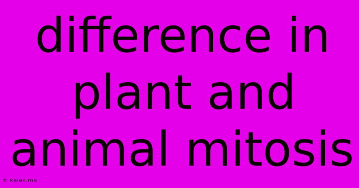 Difference In Plant And Animal Mitosis
